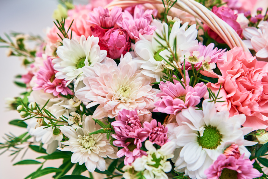 Blumen Blumen